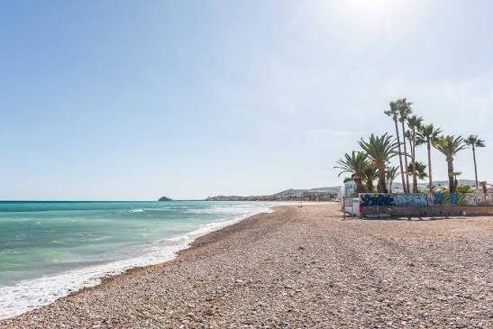Playa del Grao de Castellón con palmeras junto al paseo marítimo
